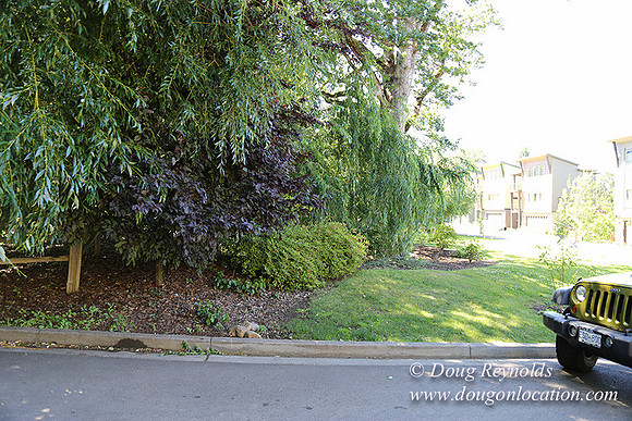 Silkirk Town Homes-8155