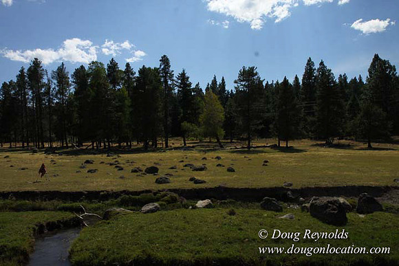 Ranch 18 South side of Hwy  has 2500 Acres of green fields Creeks water crossing Bridges on a Large Lake and miles of Dirt roads Oak trees  Forest land ATV Trails cows
