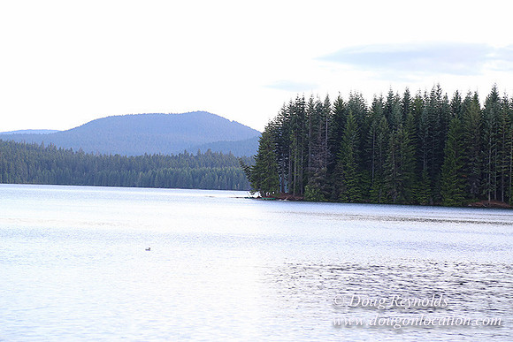timathy Northwest Side-14526