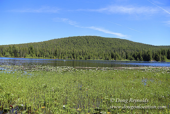 Trillium Lake-32003637