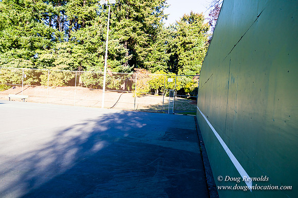 Kenilworth Courts