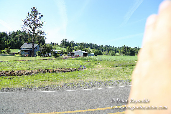 Helvetia rd at Mikes-6020