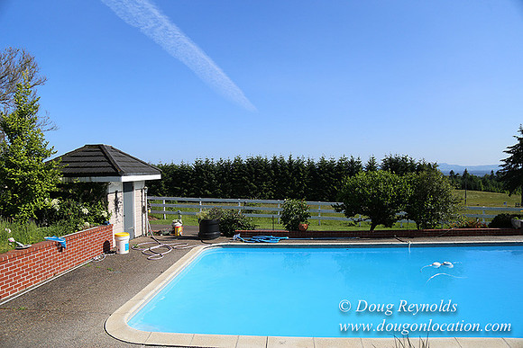 "2 Barns", "2 car garage", "40+ Acres", "PDX Zone", Pool, "White Fence", cows, "farm House", "rap around dive", "well maintained"