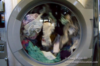 Spin Laundry-2710