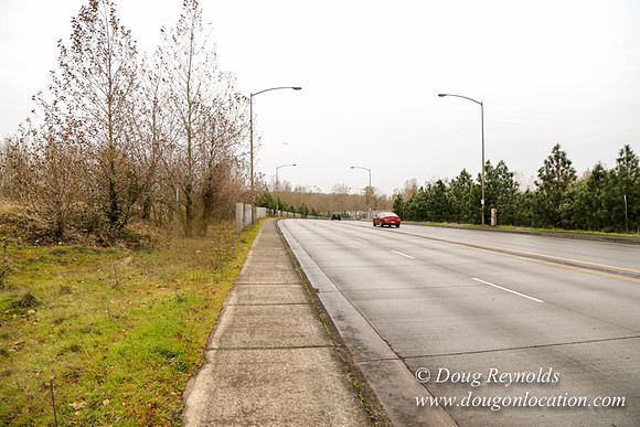 Marine Dr Overpass-5286