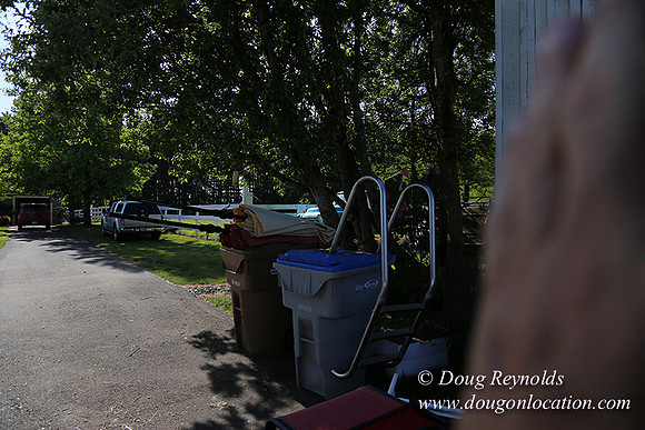 "2 Barns", "2 car garage", "40+ Acres", "PDX Zone", Pool, "White Fence", cows, "farm House", "rap around dive", "well maintained"