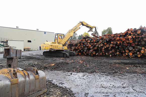 Saw Mill and Lumber Yard