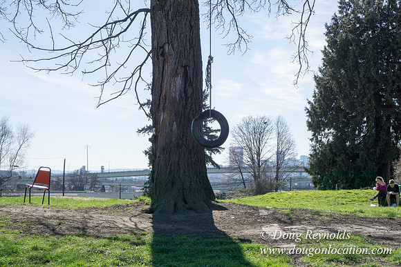 Tire Swing2691