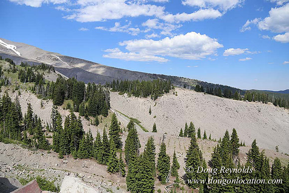 Timberline East rock-6779
