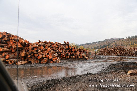 SDS Lumber-1363