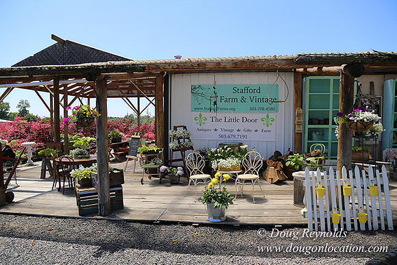 Little Door Farm Market-5393