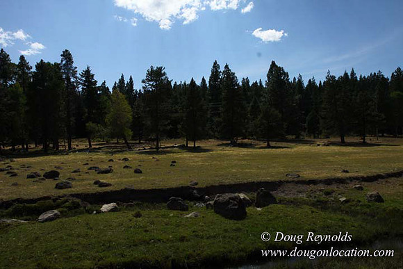 Ranch 18 South side of Hwy  has 2500 Acres of green fields Creeks water crossing Bridges on a Large Lake and miles of Dirt roads Oak trees  Forest land ATV Trails cows