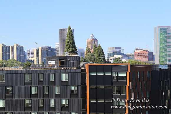 OHSU 5fl Garden-4669