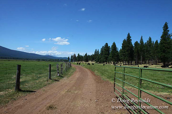 2500 Acres of green fields Creeks water crossing Bridges on a Large Lake and miles of Dirt roads Oak trees Forest land ATV Trails cows