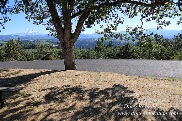 Panorama Point-8333