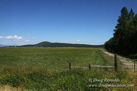 2500 Acres of green fields Creeks water crossing Bridges on a Large Lake and miles of Dirt roads Oak trees Forest land ATV Trails cows