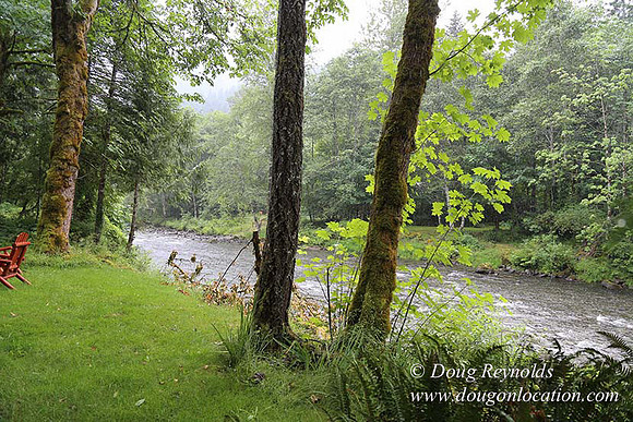 Small, Cabin, Home, River, OR, Oregon, Green, Yard,