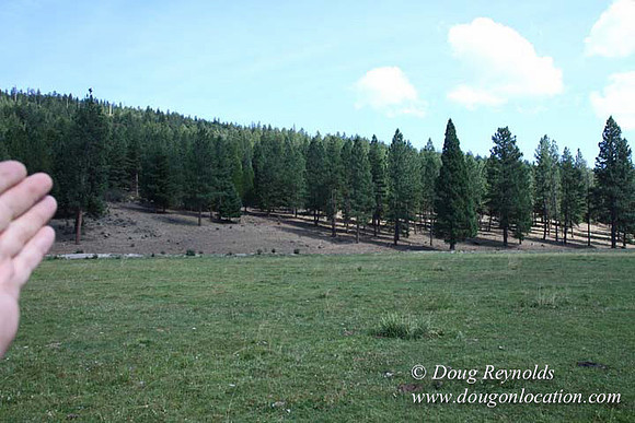 Ranch 18 South side of Hwy  has 2500 Acres of green fields Creeks water crossing Bridges on a Large Lake and miles of Dirt roads Oak trees  Forest land ATV Trails cows