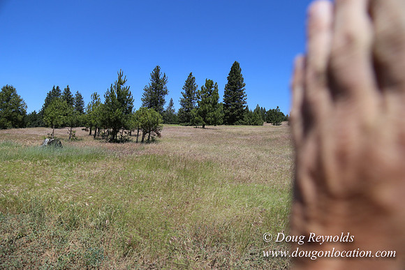 Brothers Ranch-8465