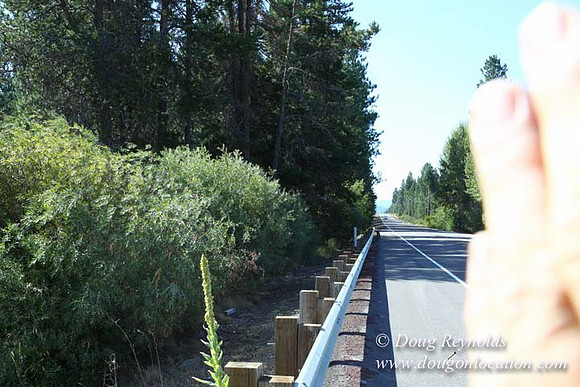 Ranch 18 South side of Hwy  has 2500 Acres of green fields Creeks water crossing Bridges on a Large Lake and miles of Dirt roads Oak trees  Forest land ATV Trails cows