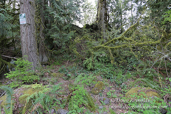 Brians River Side-0036