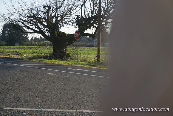Kelso Rd W Driving E-3983