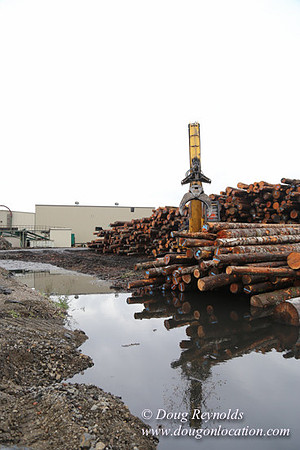 Saw Mill and Lumber Yard