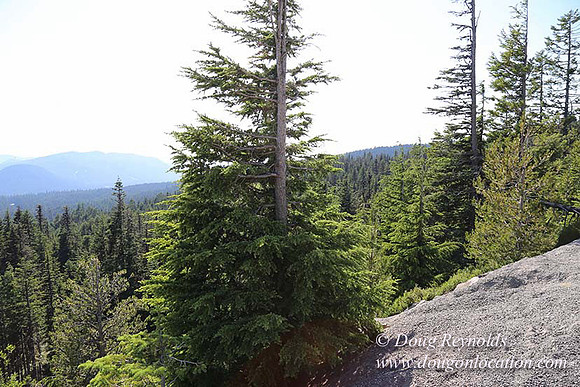 Timberline Rd View South-7001