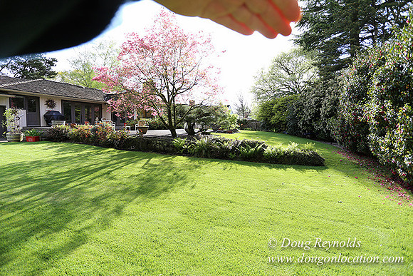 Mid Century Traditional Style Home, With a Basement, 2 car garage average sized Back Yard with Patio