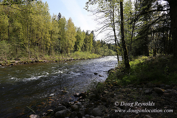 Brians River Side-9867
