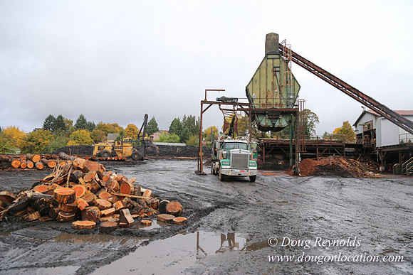 Saw Mill and Lumber Yard