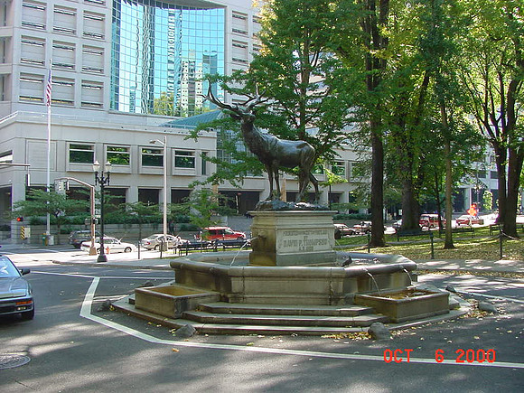 Randum Portland