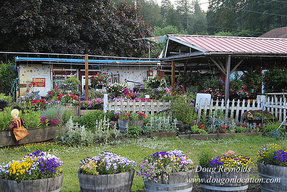 Jim Dandy Farm-5069