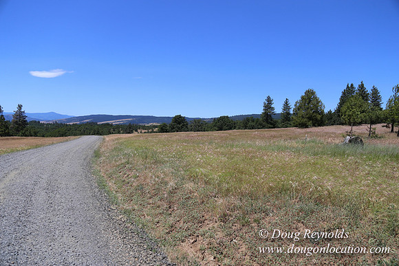 Brothers Ranch-8461