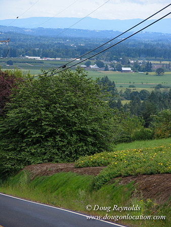 Laurel Hill Road 48514