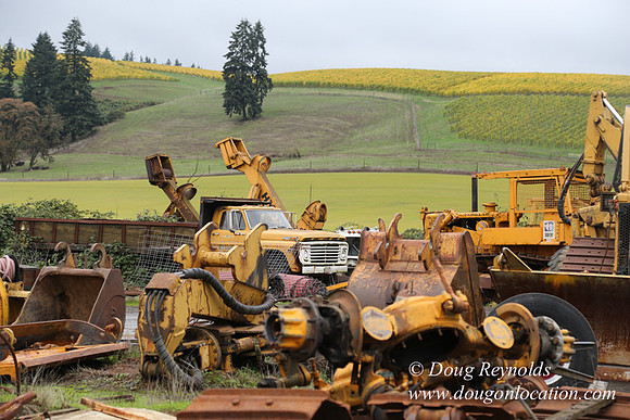 CFL Logging-0872