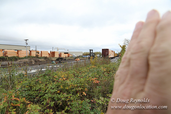 Saw Mill and Lumber Yard