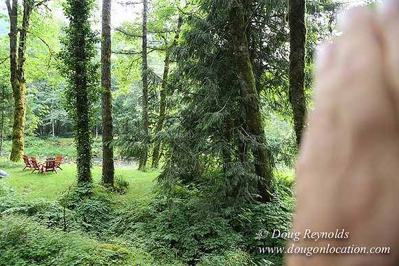 Small, Cabin, Home, River, OR, Oregon, Green, Yard,