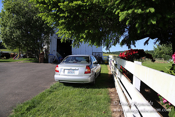 "2 Barns", "2 car garage", "40+ Acres", "PDX Zone", Pool, "White Fence", cows, "farm House", "rap around dive", "well maintained"
