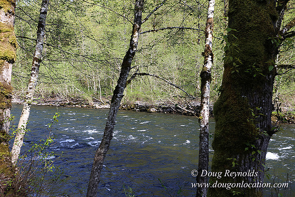 Brians River Side-9865