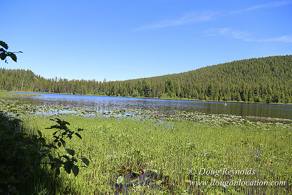 Trillium Lake-32003635