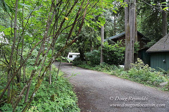 Small, Cabin, Home, River, OR, Oregon, Green, Yard,