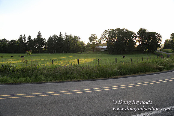 Mountaindale Rd-6421