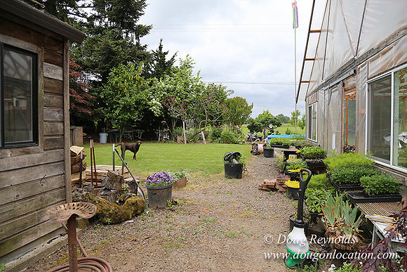 Shere's Garden Flowers & produce