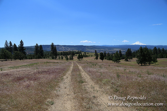 Brothers Ranch-8410