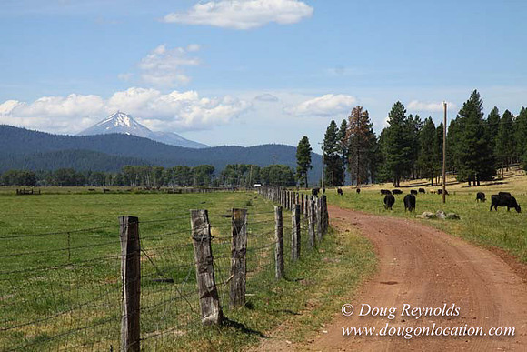 2500 Acres of green fields Creeks water crossing Bridges on a Large Lake and miles of Dirt roads Oak trees Forest land ATV Trails cows
