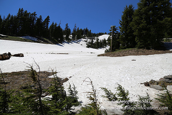 Medow's Snow-5738