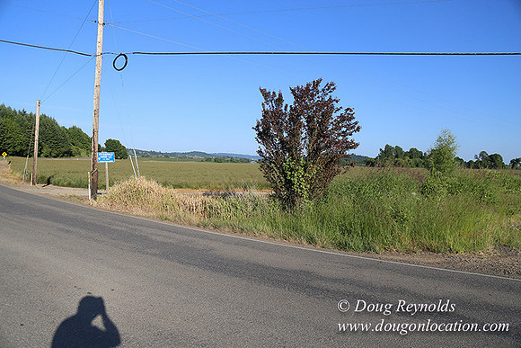 Moores Rd 1-7007