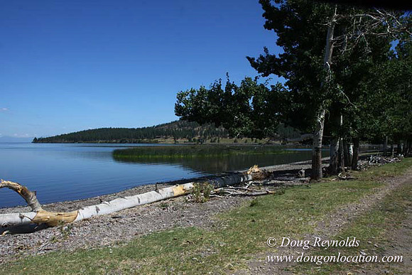 2500 Acres of green fields Creeks water crossing Bridges on a Large Lake and miles of Dirt roads Oak trees Forest land ATV Trails cows