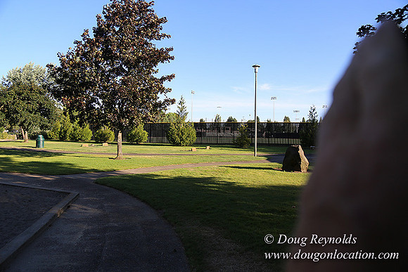 Lincoln Park-0640